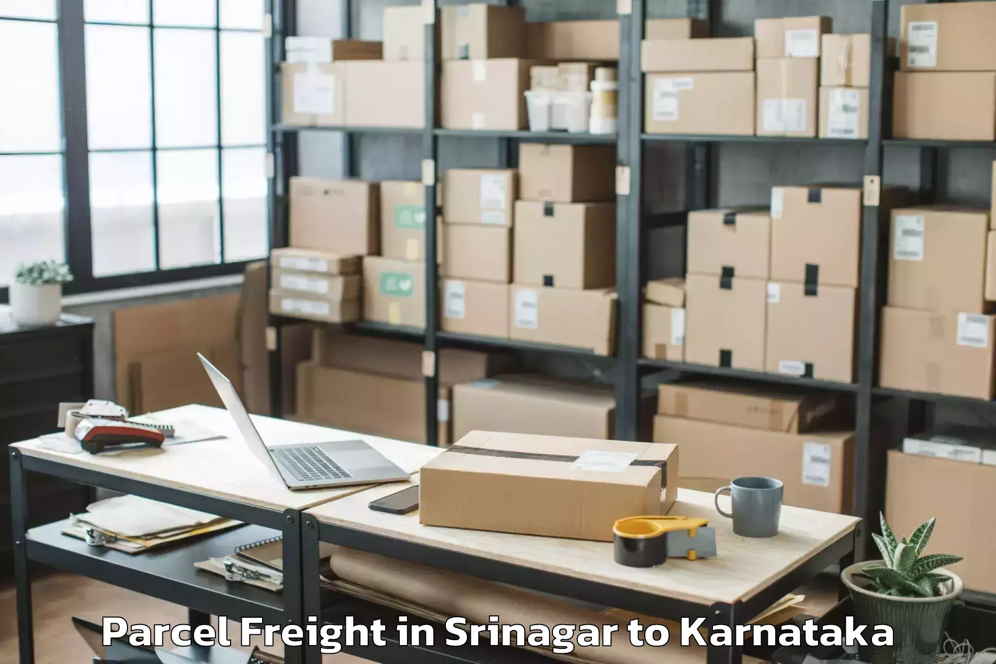 Top Srinagar to Nitte University Mangalore Parcel Freight Available